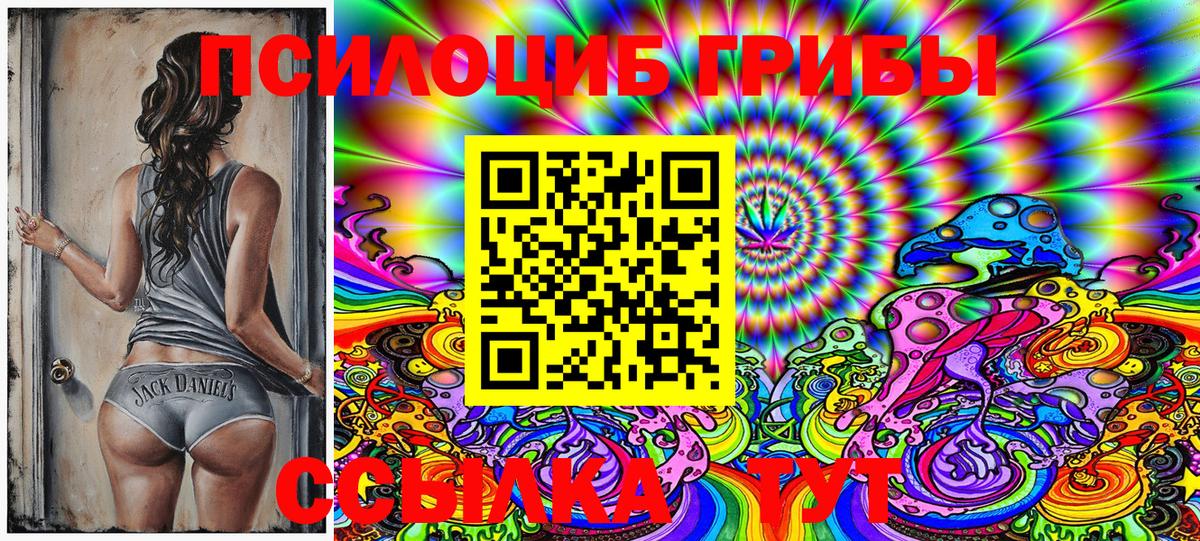 Дмитров  Галлюциногенные грибы Magic Shrooms  Вход с VPN 